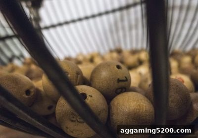 复式投注深度解析：博彩公司信誉如何优化你的投注体验？