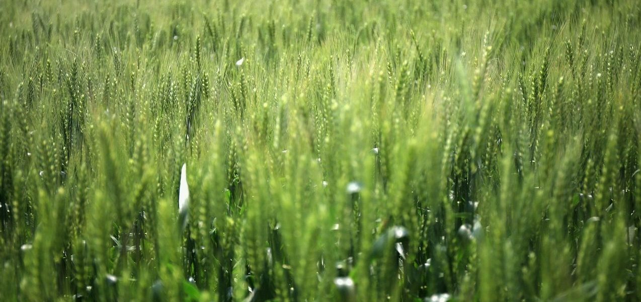 ## 博彩公司信誉：USDT充值标准流程与常见误区解析